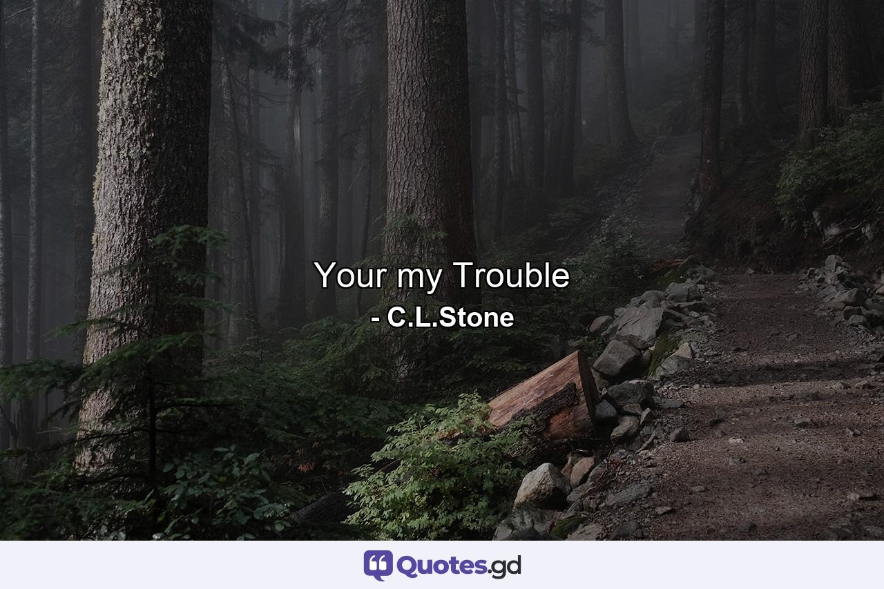 Your my Trouble - Quote by C.L.Stone