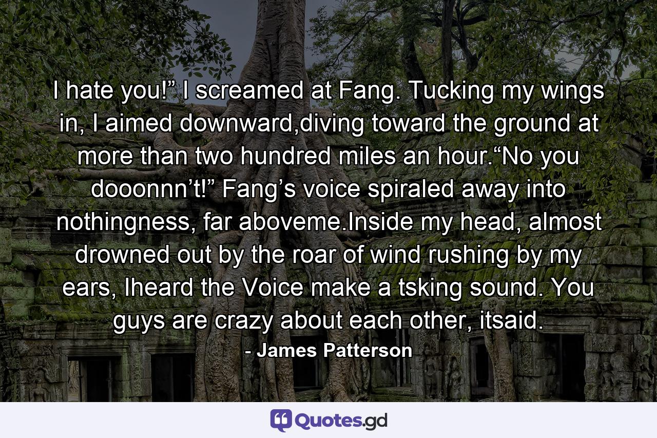 I hate you!” I screamed at Fang. Tucking my wings in, I aimed downward,diving toward the ground at more than two hundred miles an hour.“No you dooonnn’t!” Fang’s voice spiraled away into nothingness, far aboveme.Inside my head, almost drowned out by the roar of wind rushing by my ears, Iheard the Voice make a tsking sound. You guys are crazy about each other, itsaid. - Quote by James Patterson