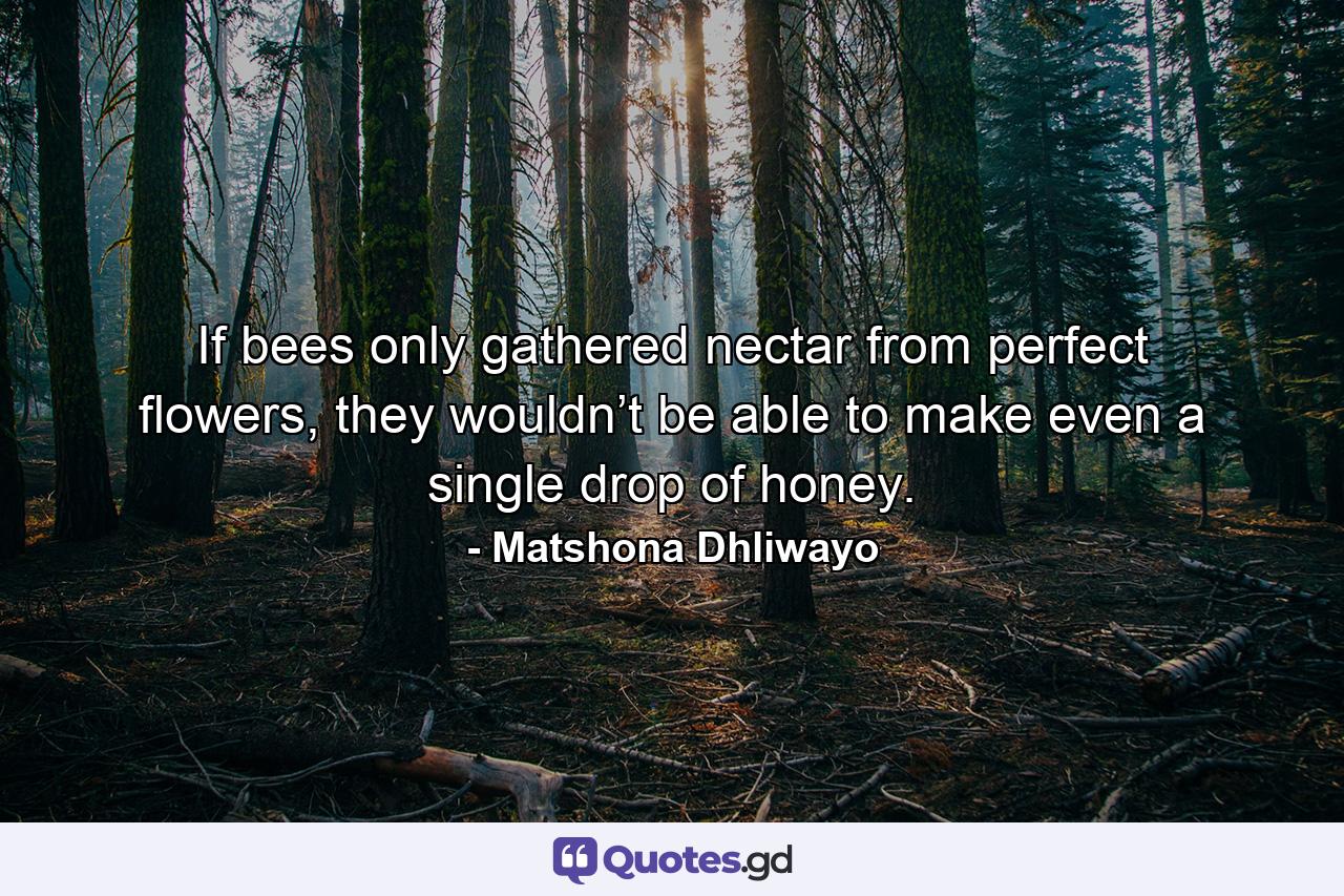 If bees only gathered nectar from perfect flowers, they wouldn’t be able to make even a single drop of honey. - Quote by Matshona Dhliwayo