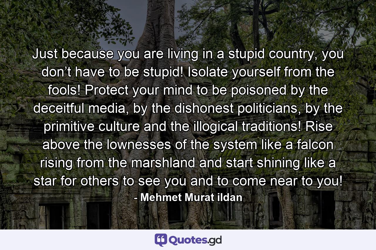 Just because you are living in a stupid country, you don’t have to be stupid! Isolate yourself from the fools! Protect your mind to be poisoned by the deceitful media, by the dishonest politicians, by the primitive culture and the illogical traditions! Rise above the lownesses of the system like a falcon rising from the marshland and start shining like a star for others to see you and to come near to you! - Quote by Mehmet Murat ildan