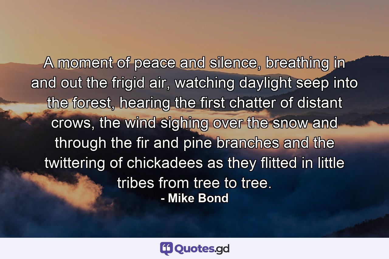 A moment of peace and silence, breathing in and out the frigid air, watching daylight seep into the forest, hearing the first chatter of distant crows, the wind sighing over the snow and through the fir and pine branches and the twittering of chickadees as they flitted in little tribes from tree to tree. - Quote by Mike Bond