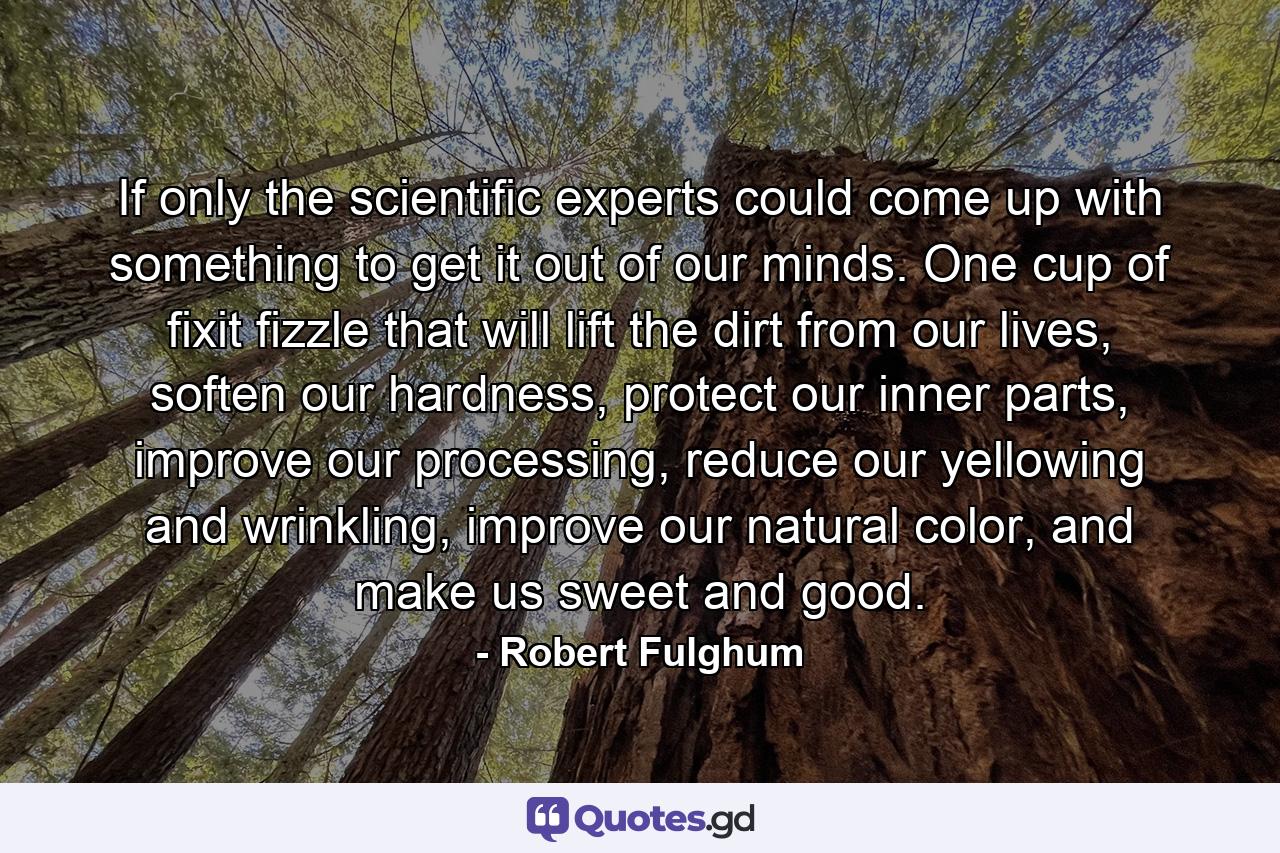 If only the scientific experts could come up with something to get it out of our minds. One cup of fixit fizzle that will lift the dirt from our lives, soften our hardness, protect our inner parts, improve our processing, reduce our yellowing and wrinkling, improve our natural color, and make us sweet and good. - Quote by Robert Fulghum