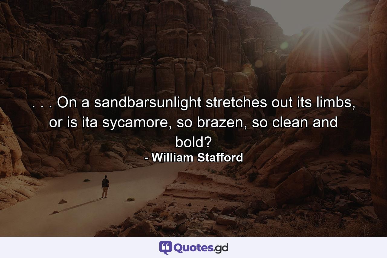 . . . On a sandbarsunlight stretches out its limbs, or is ita sycamore, so brazen, so clean and bold? - Quote by William Stafford