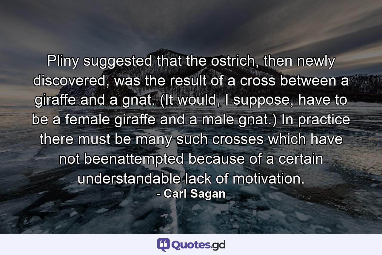 Pliny suggested that the ostrich, then newly discovered, was the result of a cross between a giraffe and a gnat. (It would, I suppose, have to be a female giraffe and a male gnat.) In practice there must be many such crosses which have not beenattempted because of a certain understandable lack of motivation. - Quote by Carl Sagan