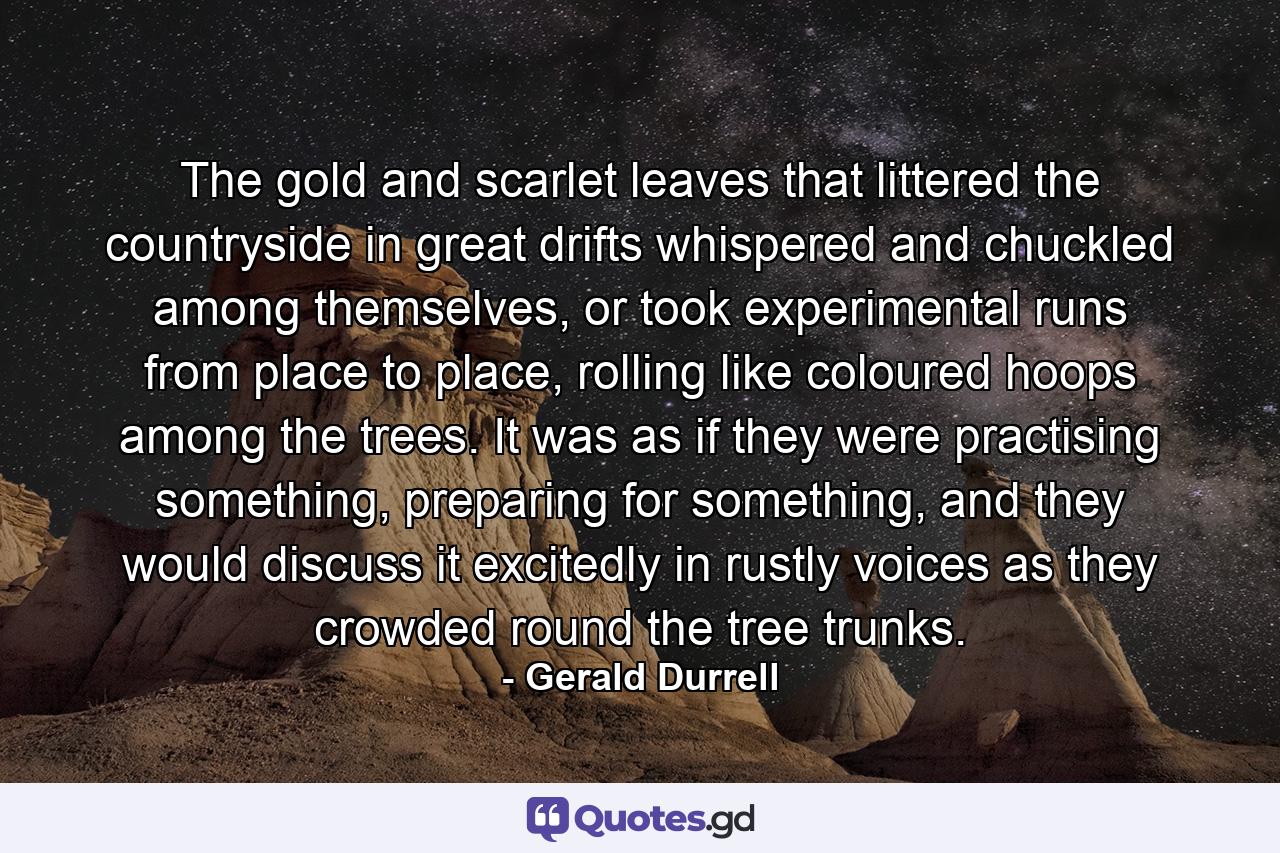 The gold and scarlet leaves that littered the countryside in great drifts whispered and chuckled among themselves, or took experimental runs from place to place, rolling like coloured hoops among the trees. It was as if they were practising something, preparing for something, and they would discuss it excitedly in rustly voices as they crowded round the tree trunks. - Quote by Gerald Durrell