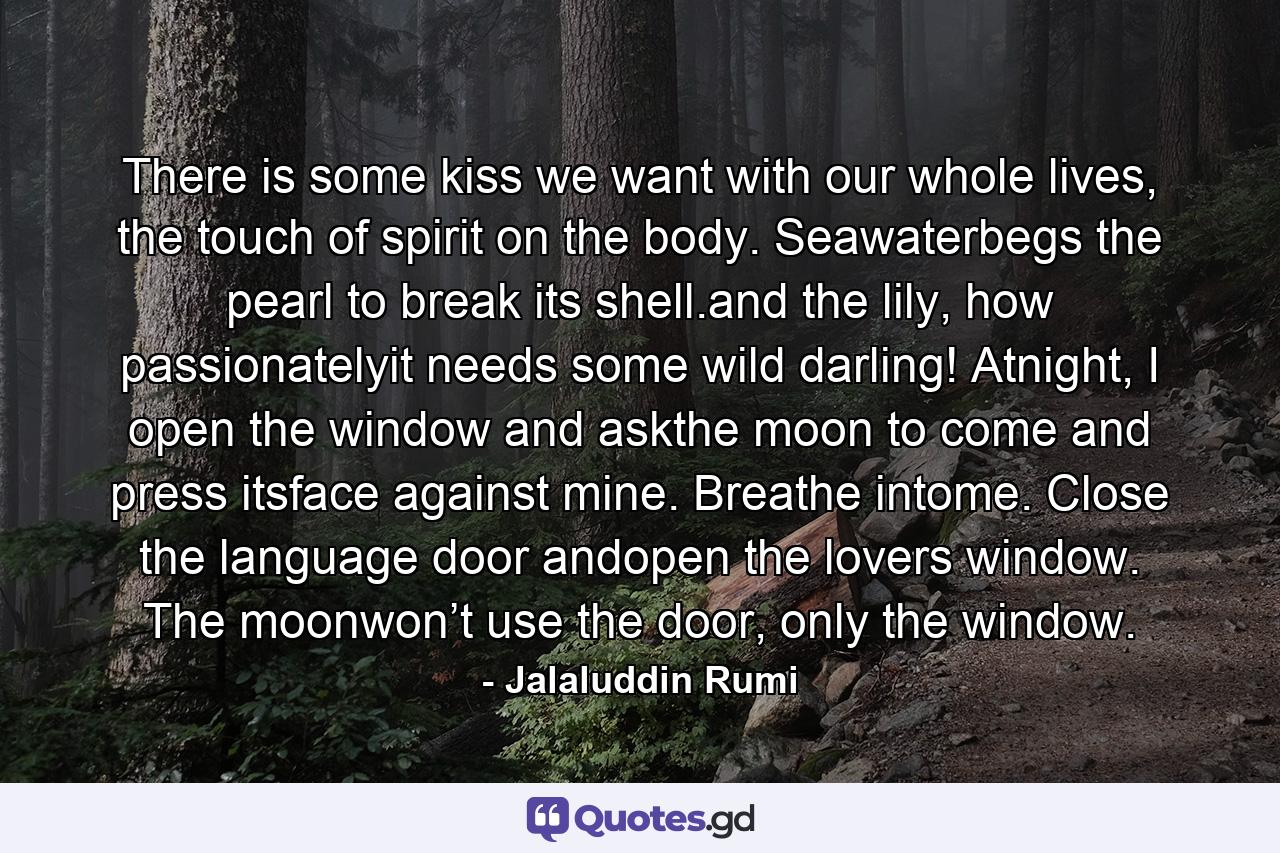 There is some kiss we want with our whole lives, the touch of spirit on the body. Seawaterbegs the pearl to break its shell.and the lily, how passionatelyit needs some wild darling! Atnight, I open the window and askthe moon to come and press itsface against mine. Breathe intome. Close the language door andopen the lovers window. The moonwon’t use the door, only the window. - Quote by Jalaluddin Rumi