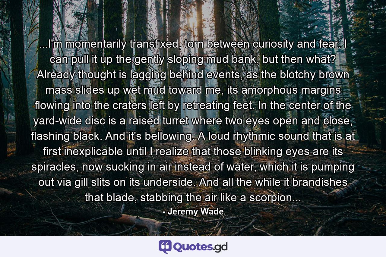 ...I'm momentarily transfixed, torn between curiosity and fear. I can pull it up the gently sloping mud bank, but then what? Already thought is lagging behind events, as the blotchy brown mass slides up wet mud toward me, its amorphous margins flowing into the craters left by retreating feet. In the center of the yard-wide disc is a raised turret where two eyes open and close, flashing black. And it's bellowing. A loud rhythmic sound that is at first inexplicable until I realize that those blinking eyes are its spiracles, now sucking in air instead of water, which it is pumping out via gill slits on its underside. And all the while it brandishes that blade, stabbing the air like a scorpion... - Quote by Jeremy Wade