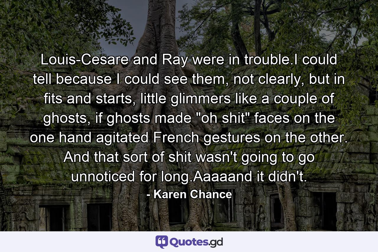 Louis-Cesare and Ray were in trouble.I could tell because I could see them, not clearly, but in fits and starts, little glimmers like a couple of ghosts, if ghosts made 