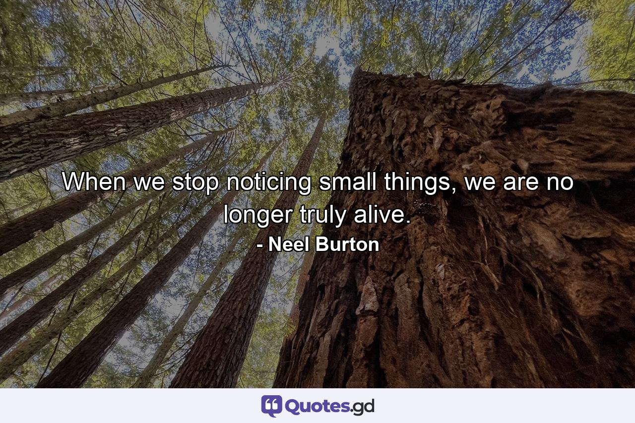 When we stop noticing small things, we are no longer truly alive. - Quote by Neel Burton