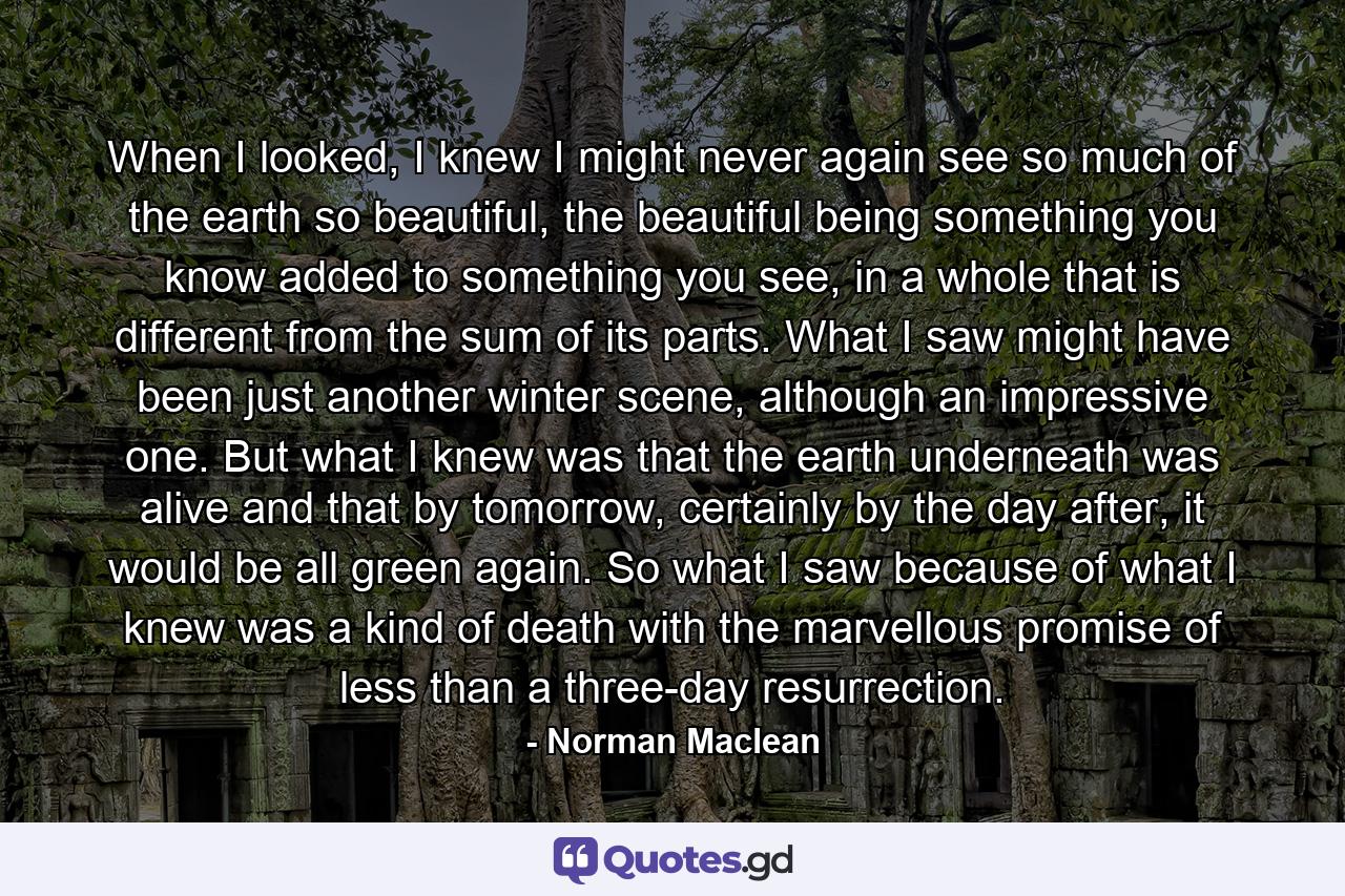 When I looked, I knew I might never again see so much of the earth so beautiful, the beautiful being something you know added to something you see, in a whole that is different from the sum of its parts. What I saw might have been just another winter scene, although an impressive one. But what I knew was that the earth underneath was alive and that by tomorrow, certainly by the day after, it would be all green again. So what I saw because of what I knew was a kind of death with the marvellous promise of less than a three-day resurrection. - Quote by Norman Maclean