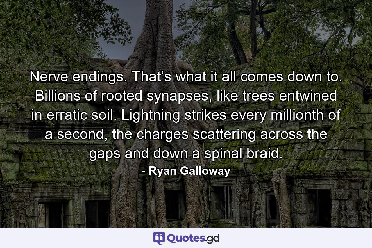 Nerve endings. That’s what it all comes down to. Billions of rooted synapses, like trees entwined in erratic soil. Lightning strikes every millionth of a second, the charges scattering across the gaps and down a spinal braid. - Quote by Ryan Galloway