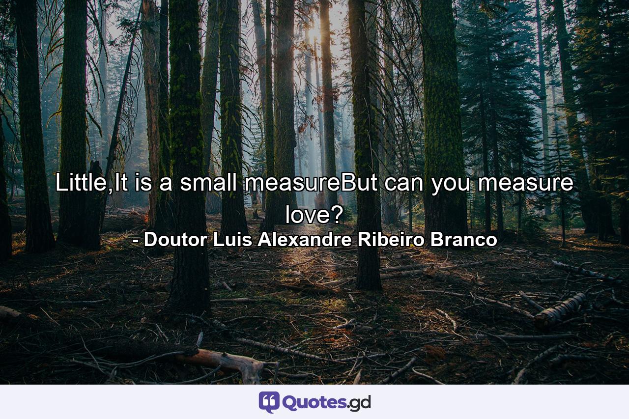 Little,It is a small measureBut can you measure love? - Quote by Doutor Luis Alexandre Ribeiro Branco