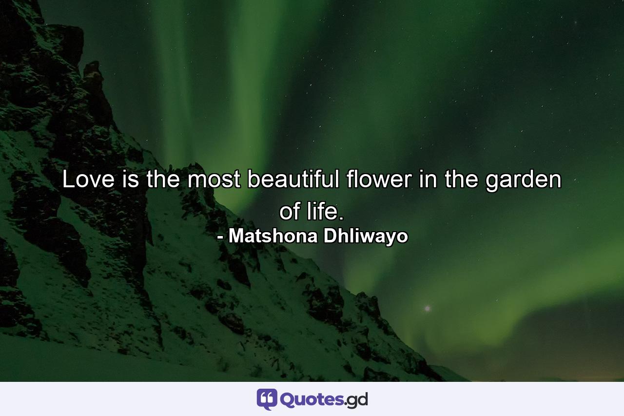 Love is the most beautiful flower in the garden of life. - Quote by Matshona Dhliwayo