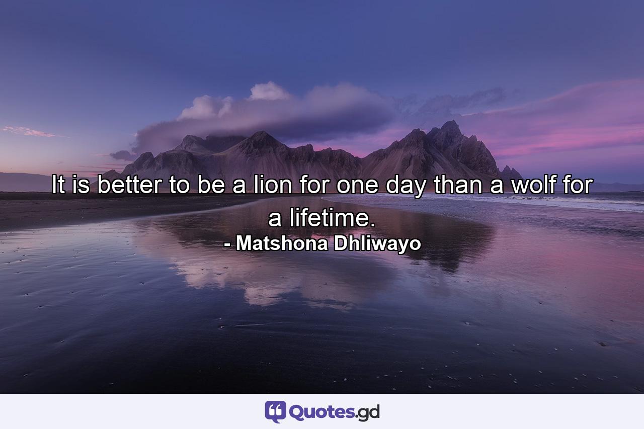 It is better to be a lion for one day than a wolf for a lifetime. - Quote by Matshona Dhliwayo