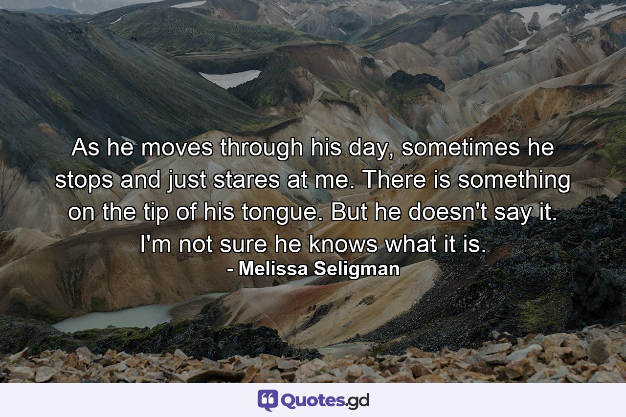 As he moves through his day, sometimes he stops and just stares at me. There is something on the tip of his tongue. But he doesn't say it. I'm not sure he knows what it is. - Quote by Melissa Seligman