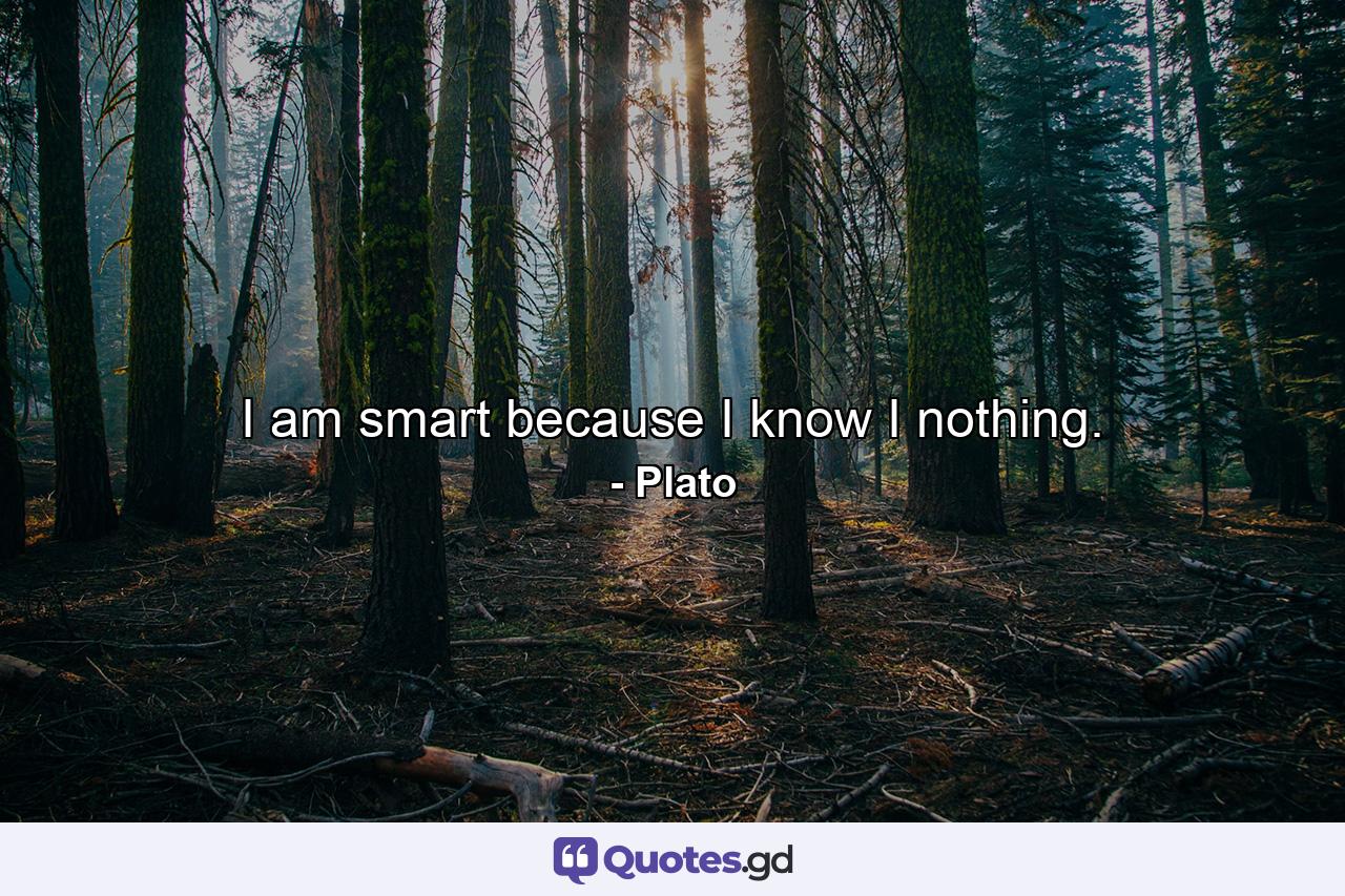 I am smart because I know I nothing. - Quote by Plato