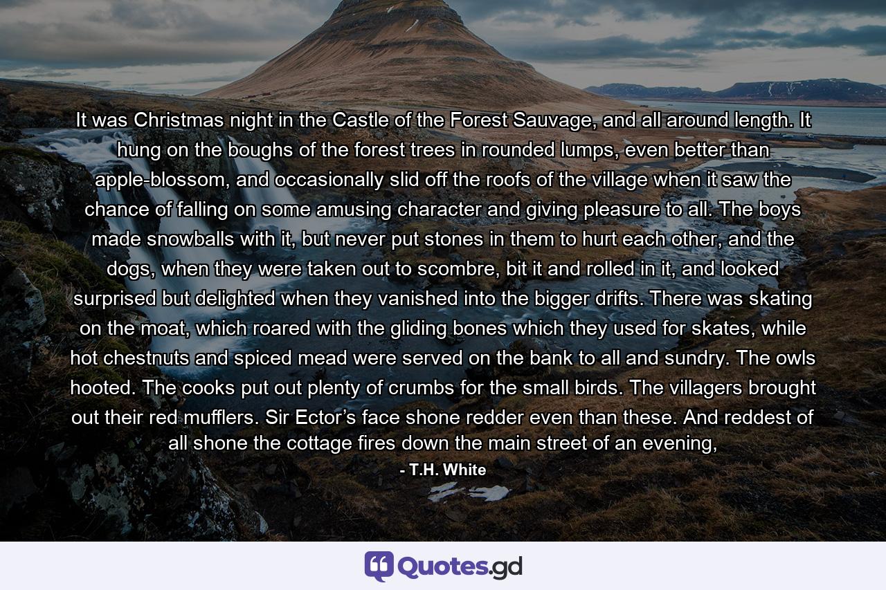 It was Christmas night in the Castle of the Forest Sauvage, and all around length. It hung on the boughs of the forest trees in rounded lumps, even better than apple-blossom, and occasionally slid off the roofs of the village when it saw the chance of falling on some amusing character and giving pleasure to all. The boys made snowballs with it, but never put stones in them to hurt each other, and the dogs, when they were taken out to scombre, bit it and rolled in it, and looked surprised but delighted when they vanished into the bigger drifts. There was skating on the moat, which roared with the gliding bones which they used for skates, while hot chestnuts and spiced mead were served on the bank to all and sundry. The owls hooted. The cooks put out plenty of crumbs for the small birds. The villagers brought out their red mufflers. Sir Ector’s face shone redder even than these. And reddest of all shone the cottage fires down the main street of an evening, - Quote by T.H. White