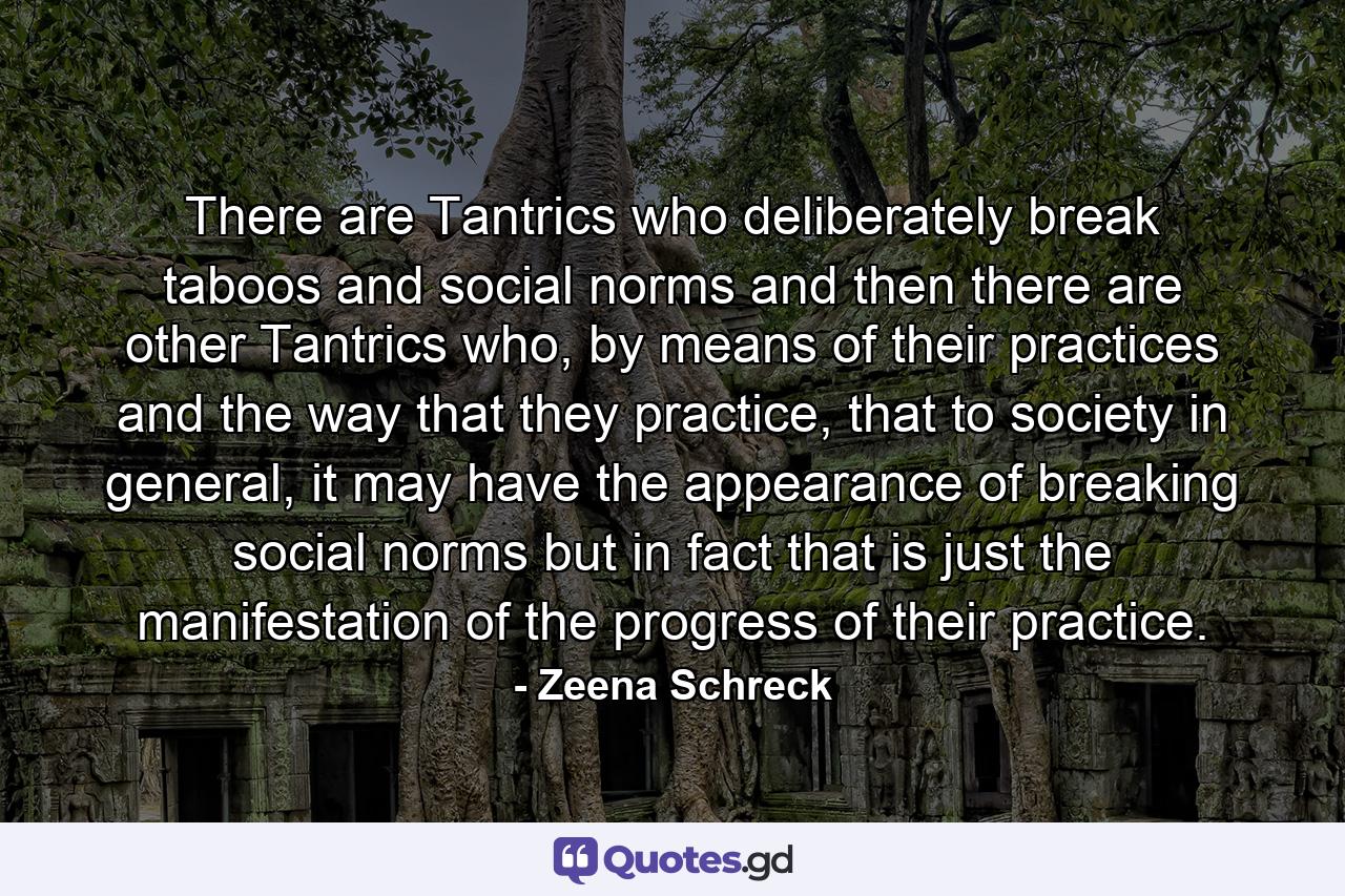 There are Tantrics who deliberately break taboos and social norms and then there are other Tantrics who, by means of their practices and the way that they practice, that to society in general, it may have the appearance of breaking social norms but in fact that is just the manifestation of the progress of their practice. - Quote by Zeena Schreck