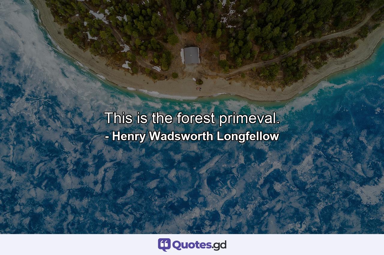 This is the forest primeval. - Quote by Henry Wadsworth Longfellow