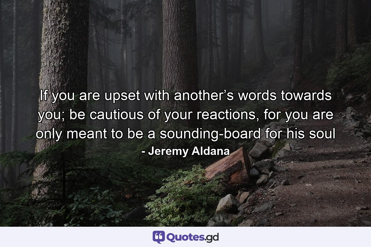 If you are upset with another’s words towards you; be cautious of your reactions, for you are only meant to be a sounding-board for his soul - Quote by Jeremy Aldana