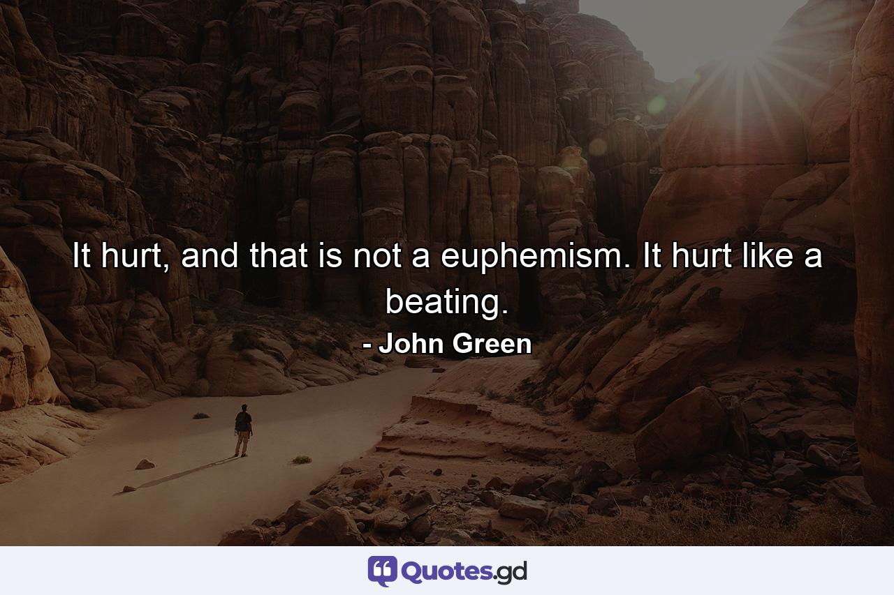 It hurt, and that is not a euphemism. It hurt like a beating. - Quote by John Green