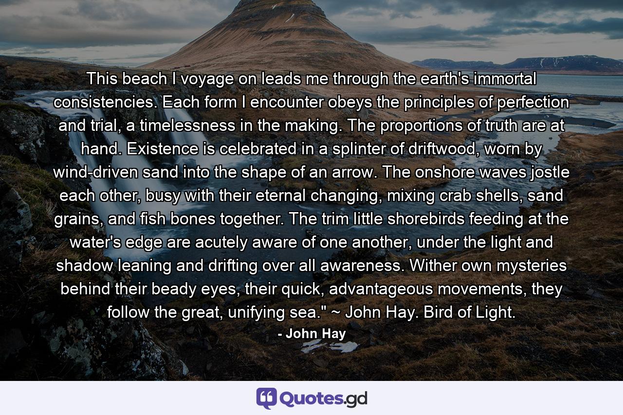 This beach I voyage on leads me through the earth's immortal consistencies. Each form I encounter obeys the principles of perfection and trial, a timelessness in the making. The proportions of truth are at hand. Existence is celebrated in a splinter of driftwood, worn by wind-driven sand into the shape of an arrow. The onshore waves jostle each other, busy with their eternal changing, mixing crab shells, sand grains, and fish bones together. The trim little shorebirds feeding at the water's edge are acutely aware of one another, under the light and shadow leaning and drifting over all awareness. Wither own mysteries behind their beady eyes, their quick, advantageous movements, they follow the great, unifying sea.