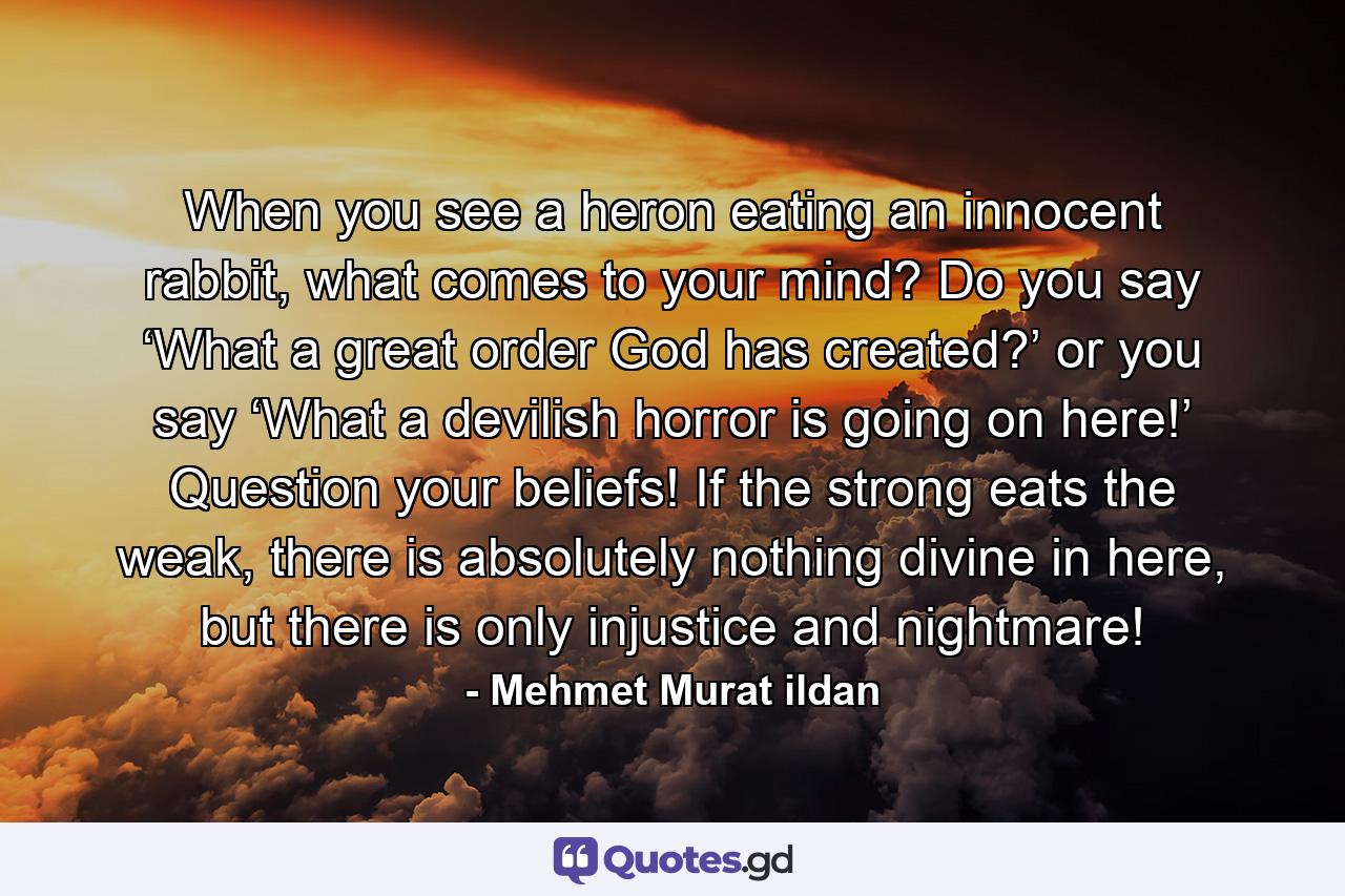 When you see a heron eating an innocent rabbit, what comes to your mind? Do you say ‘What a great order God has created?’ or you say ‘What a devilish horror is going on here!’ Question your beliefs! If the strong eats the weak, there is absolutely nothing divine in here, but there is only injustice and nightmare! - Quote by Mehmet Murat ildan