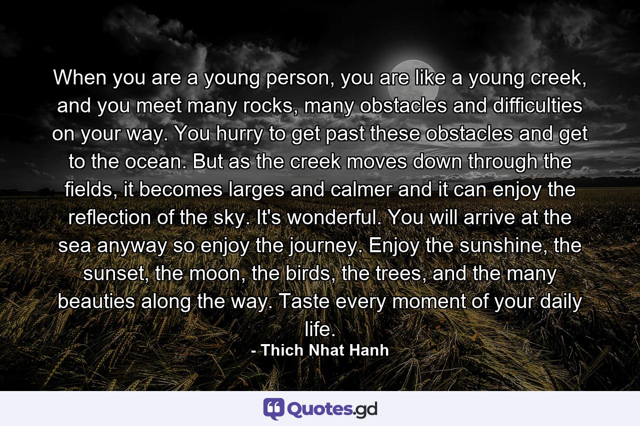 When you are a young person, you are like a young creek, and you meet many rocks, many obstacles and difficulties on your way. You hurry to get past these obstacles and get to the ocean. But as the creek moves down through the fields, it becomes larges and calmer and it can enjoy the reflection of the sky. It's wonderful. You will arrive at the sea anyway so enjoy the journey. Enjoy the sunshine, the sunset, the moon, the birds, the trees, and the many beauties along the way. Taste every moment of your daily life. - Quote by Thich Nhat Hanh