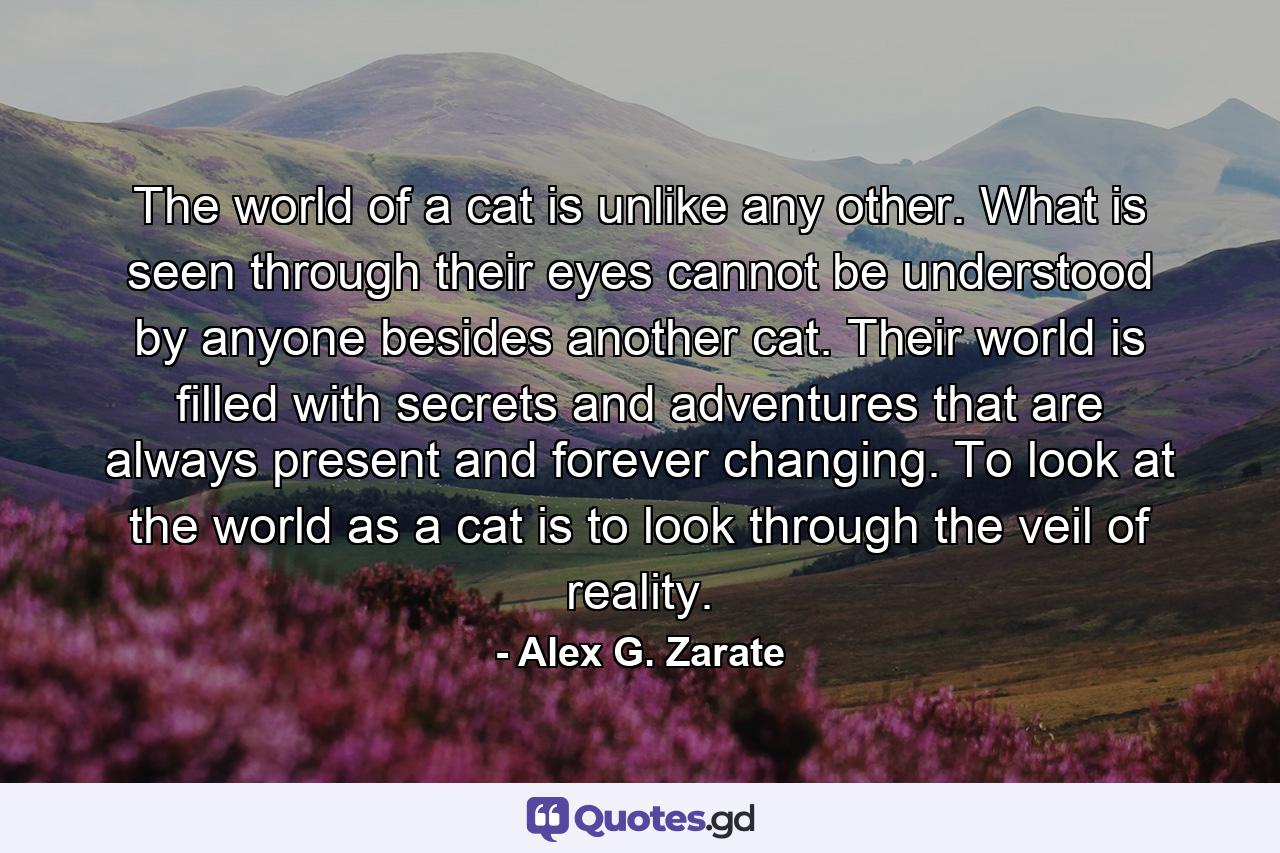 The world of a cat is unlike any other. What is seen through their eyes cannot be understood by anyone besides another cat. Their world is filled with secrets and adventures that are always present and forever changing. To look at the world as a cat is to look through the veil of reality. - Quote by Alex G. Zarate