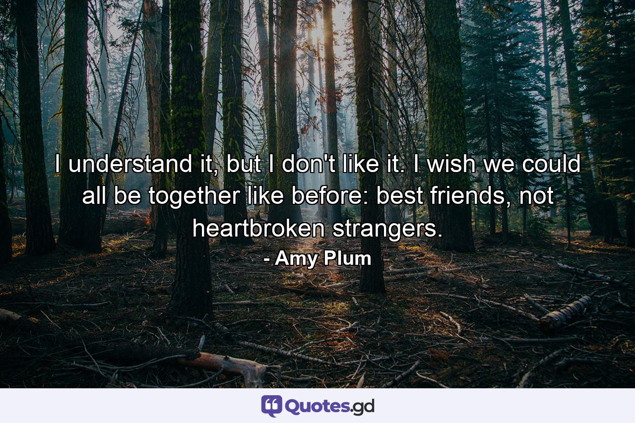 I understand it, but I don't like it. I wish we could all be together like before: best friends, not heartbroken strangers. - Quote by Amy Plum