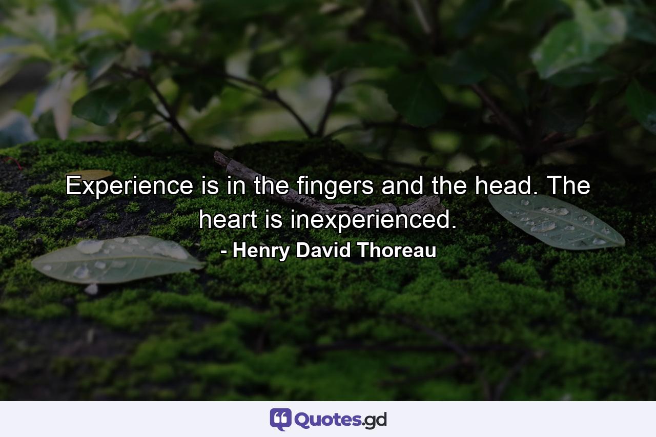 Experience is in the fingers and the head. The heart is inexperienced. - Quote by Henry David Thoreau