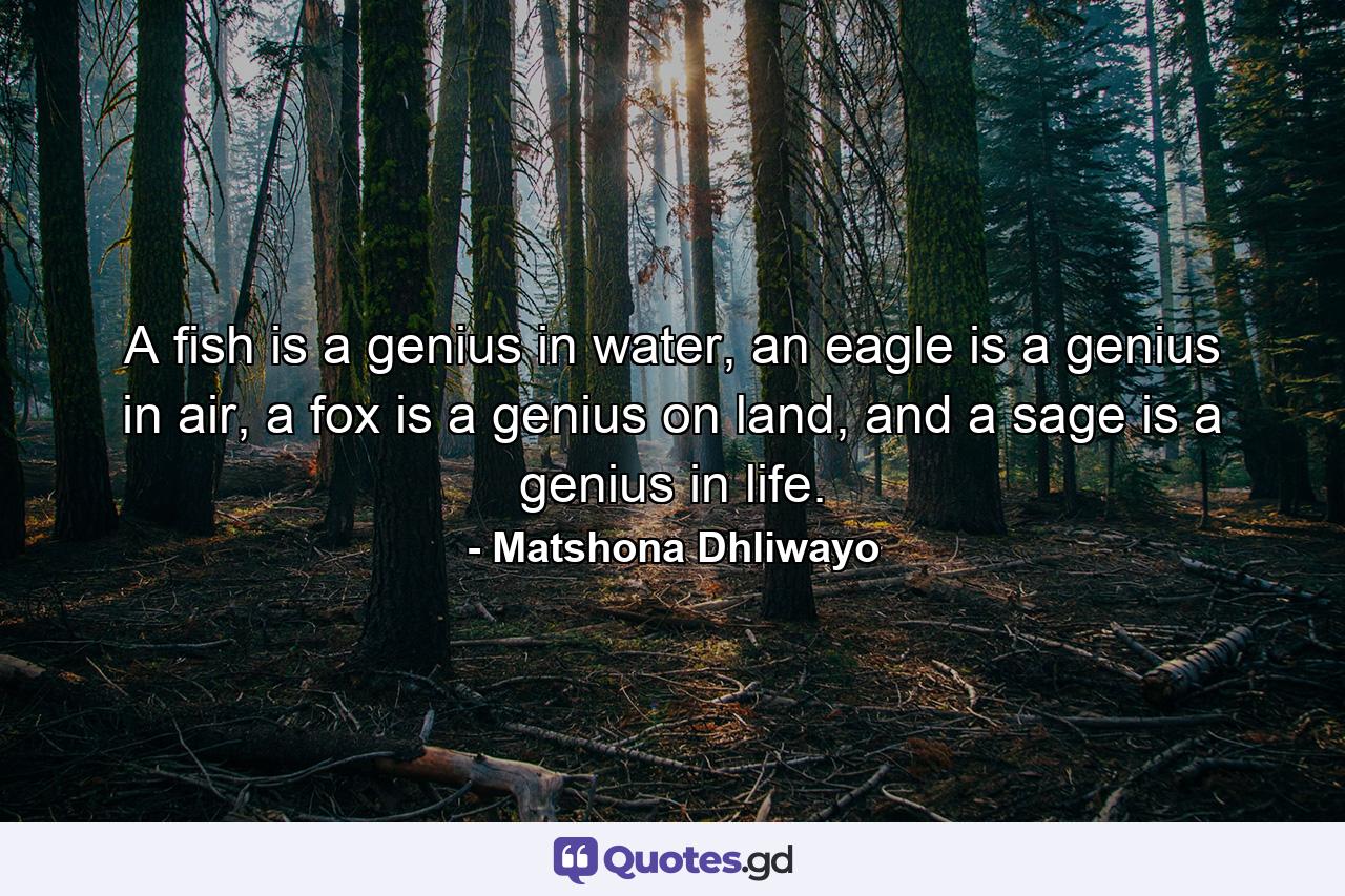 A fish is a genius in water, an eagle is a genius in air, a fox is a genius on land, and a sage is a genius in life.  - Quote by Matshona Dhliwayo