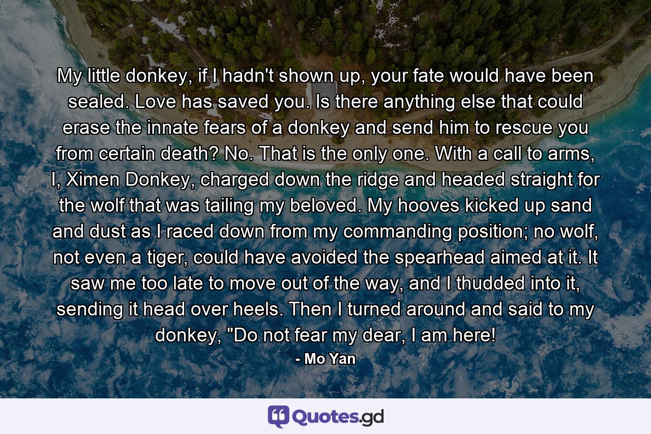 My little donkey, if I hadn't shown up, your fate would have been sealed. Love has saved you. Is there anything else that could erase the innate fears of a donkey and send him to rescue you from certain death? No. That is the only one. With a call to arms, I, Ximen Donkey, charged down the ridge and headed straight for the wolf that was tailing my beloved. My hooves kicked up sand and dust as I raced down from my commanding position; no wolf, not even a tiger, could have avoided the spearhead aimed at it. It saw me too late to move out of the way, and I thudded into it, sending it head over heels. Then I turned around and said to my donkey, 