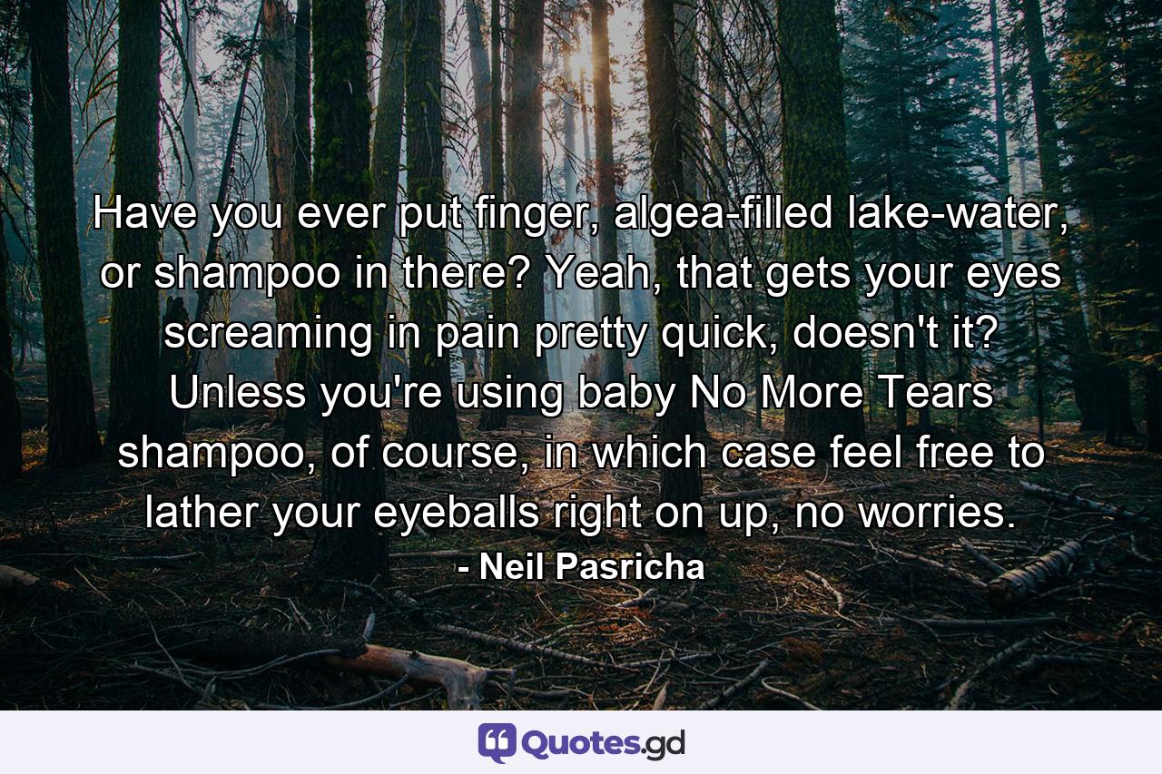 Have you ever put finger, algea-filled lake-water, or shampoo in there? Yeah, that gets your eyes screaming in pain pretty quick, doesn't it? Unless you're using baby No More Tears shampoo, of course, in which case feel free to lather your eyeballs right on up, no worries. - Quote by Neil Pasricha