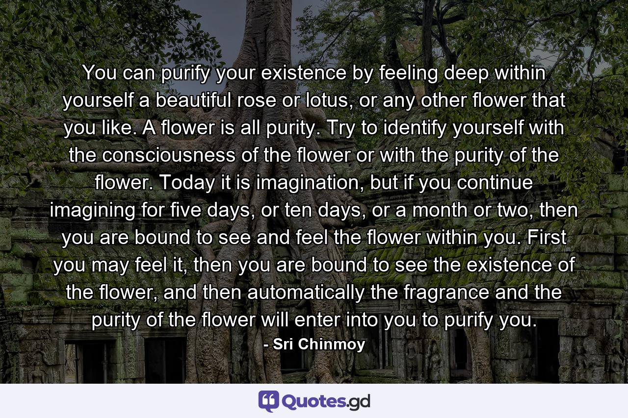 You can purify your existence by feeling deep within yourself a beautiful rose or lotus, or any other flower that you like. A flower is all purity. Try to identify yourself with the consciousness of the flower or with the purity of the flower. Today it is imagination, but if you continue imagining for five days, or ten days, or a month or two, then you are bound to see and feel the flower within you. First you may feel it, then you are bound to see the existence of the flower, and then automatically the fragrance and the purity of the flower will enter into you to purify you. - Quote by Sri Chinmoy