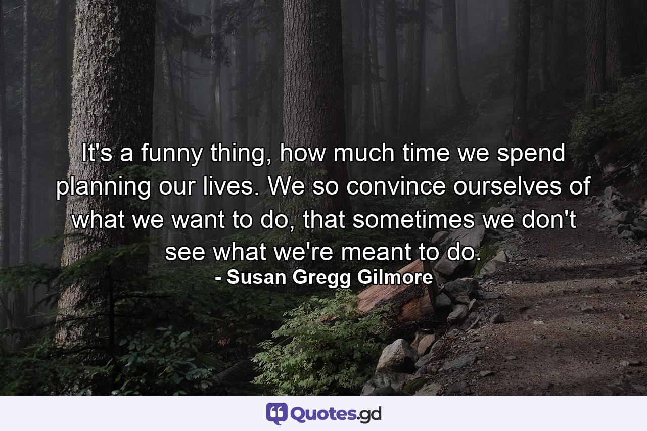 It's a funny thing, how much time we spend planning our lives. We so convince ourselves of what we want to do, that sometimes we don't see what we're meant to do. - Quote by Susan Gregg Gilmore