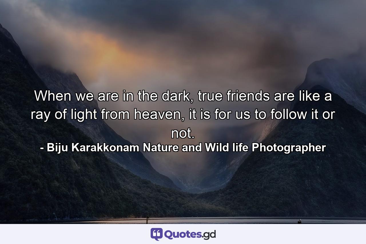 When we are in the dark, true friends are like a ray of light from heaven, it is for us to follow it or not. - Quote by Biju Karakkonam Nature and Wild life Photographer