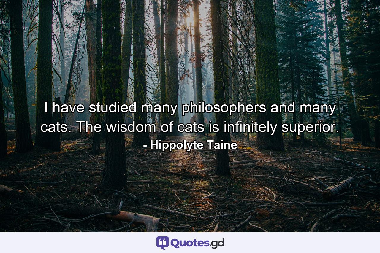 I have studied many philosophers and many cats. The wisdom of cats is infinitely superior. - Quote by Hippolyte Taine