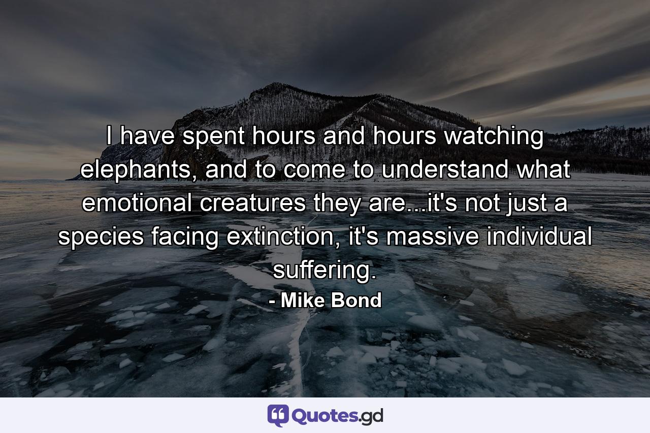 I have spent hours and hours watching elephants, and to come to understand what emotional creatures they are...it's not just a species facing extinction, it's massive individual suffering. - Quote by Mike Bond