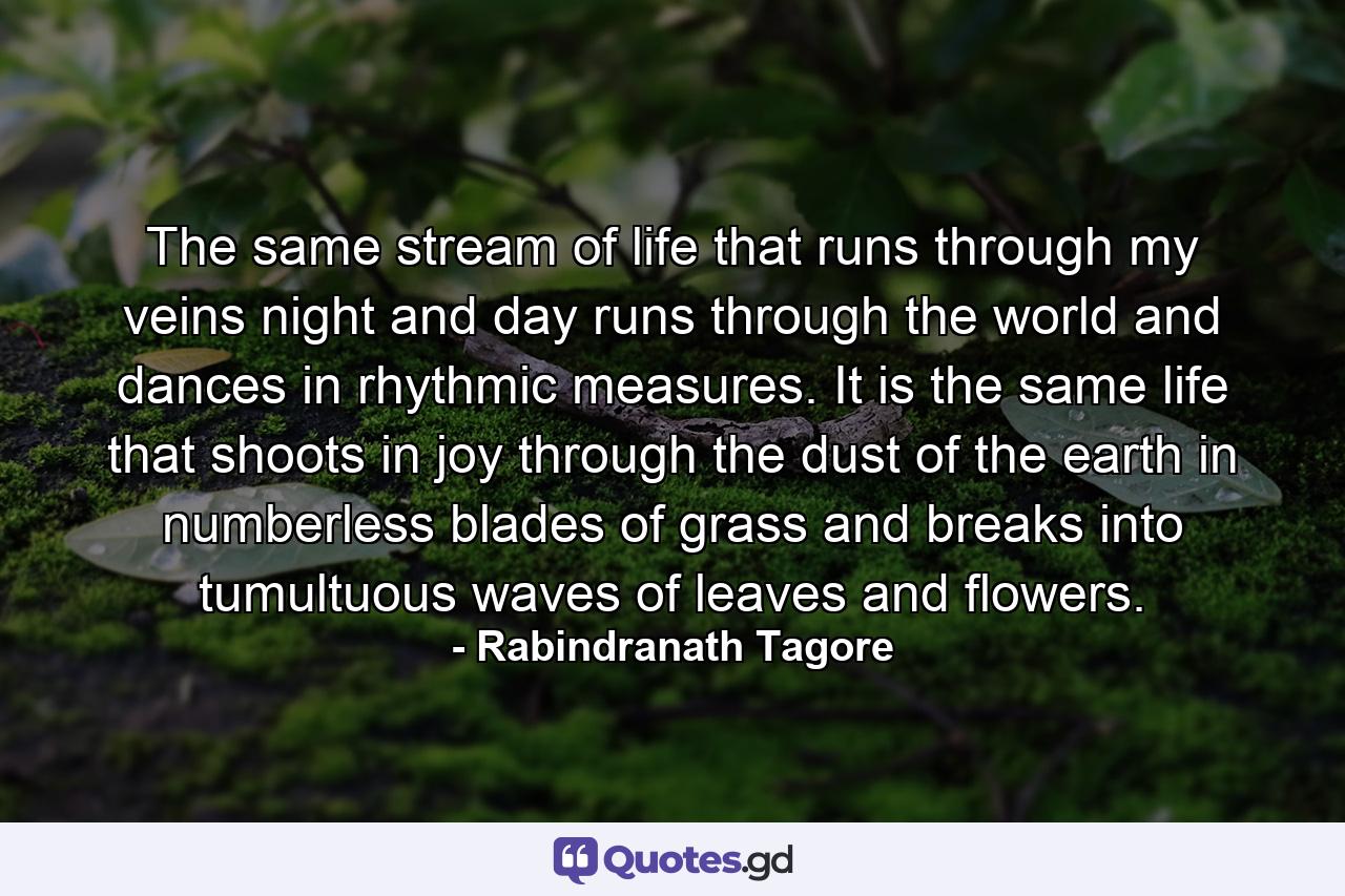 The same stream of life that runs through my veins night and day runs through the world and dances in rhythmic measures. It is the same life that shoots in joy through the dust of the earth in numberless blades of grass and breaks into tumultuous waves of leaves and flowers. - Quote by Rabindranath Tagore