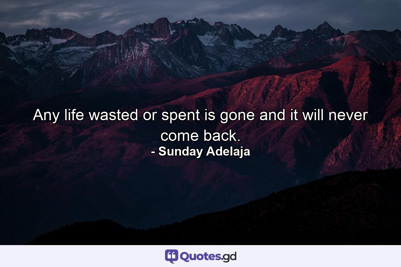 Any life wasted or spent is gone and it will never come back. - Quote by Sunday Adelaja