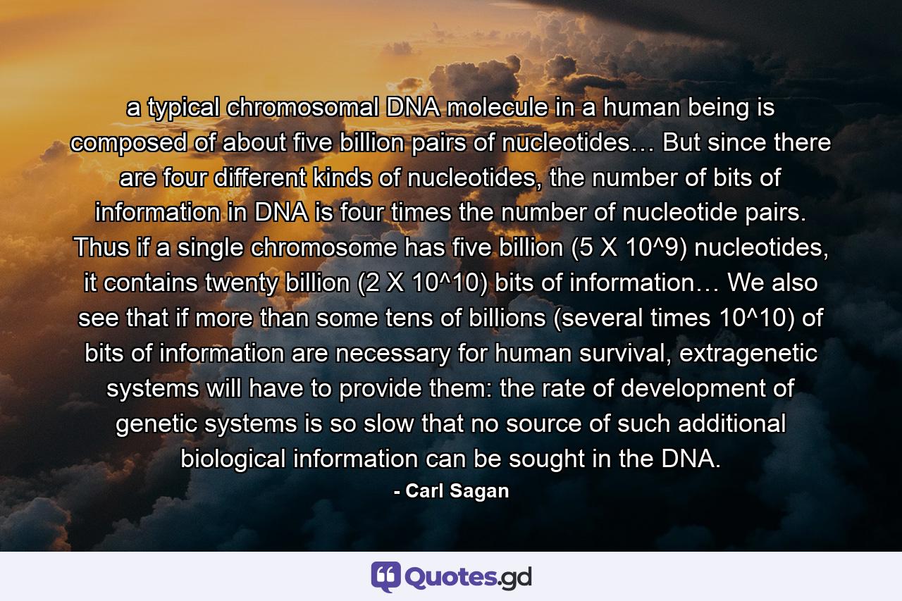 a typical chromosomal DNA molecule in a human being is composed of about five billion pairs of nucleotides… But since there are four different kinds of nucleotides, the number of bits of information in DNA is four times the number of nucleotide pairs. Thus if a single chromosome has five billion (5 X 10^9) nucleotides, it contains twenty billion (2 X 10^10) bits of information… We also see that if more than some tens of billions (several times 10^10) of bits of information are necessary for human survival, extragenetic systems will have to provide them: the rate of development of genetic systems is so slow that no source of such additional biological information can be sought in the DNA. - Quote by Carl Sagan