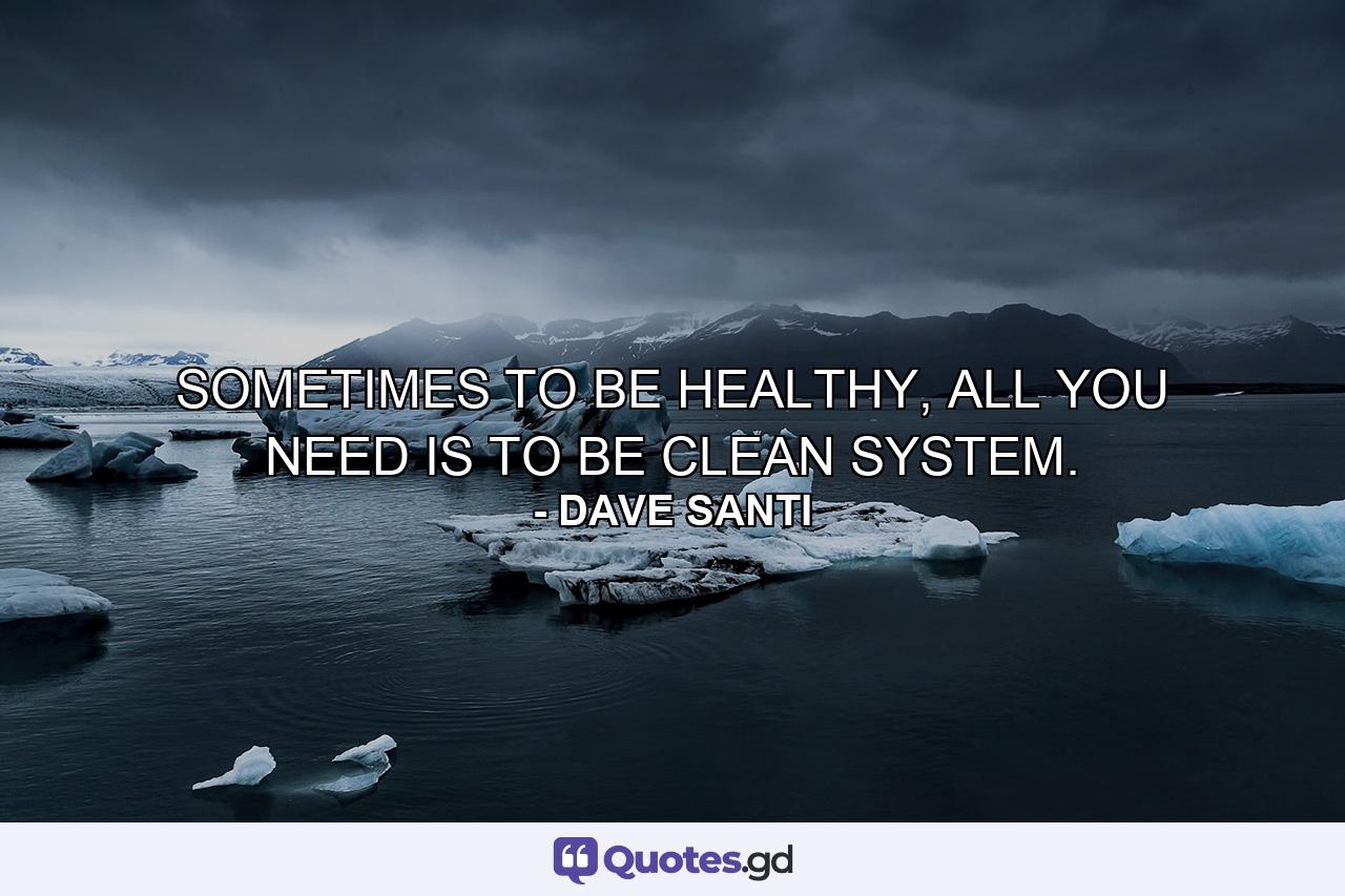 SOMETIMES TO BE HEALTHY, ALL YOU NEED IS TO BE CLEAN SYSTEM. - Quote by DAVE SANTI