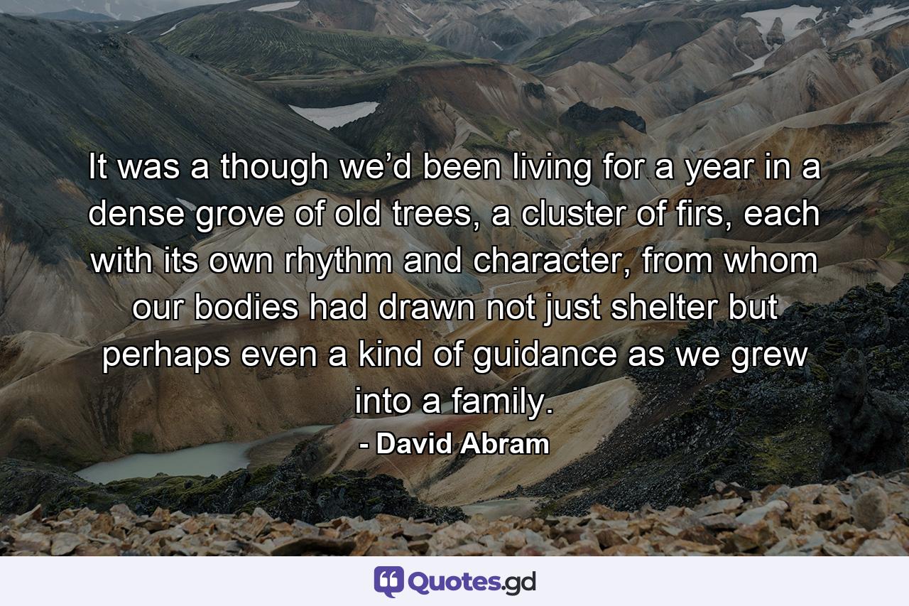 It was a though we’d been living for a year in a dense grove of old trees, a cluster of firs, each with its own rhythm and character, from whom our bodies had drawn not just shelter but perhaps even a kind of guidance as we grew into a family. - Quote by David Abram