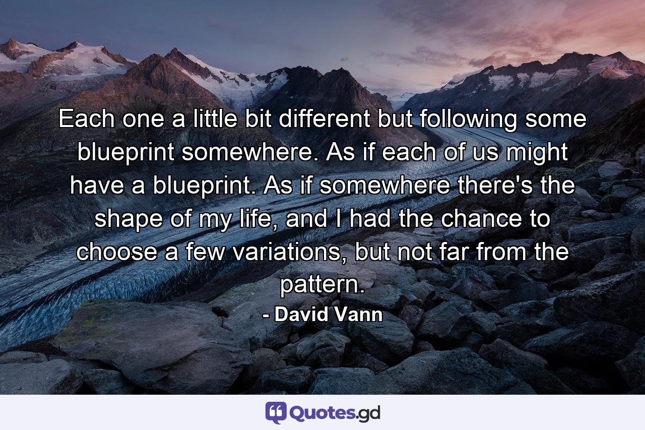 Each one a little bit different but following some blueprint somewhere. As if each of us might have a blueprint. As if somewhere there's the shape of my life, and I had the chance to choose a few variations, but not far from the pattern. - Quote by David Vann