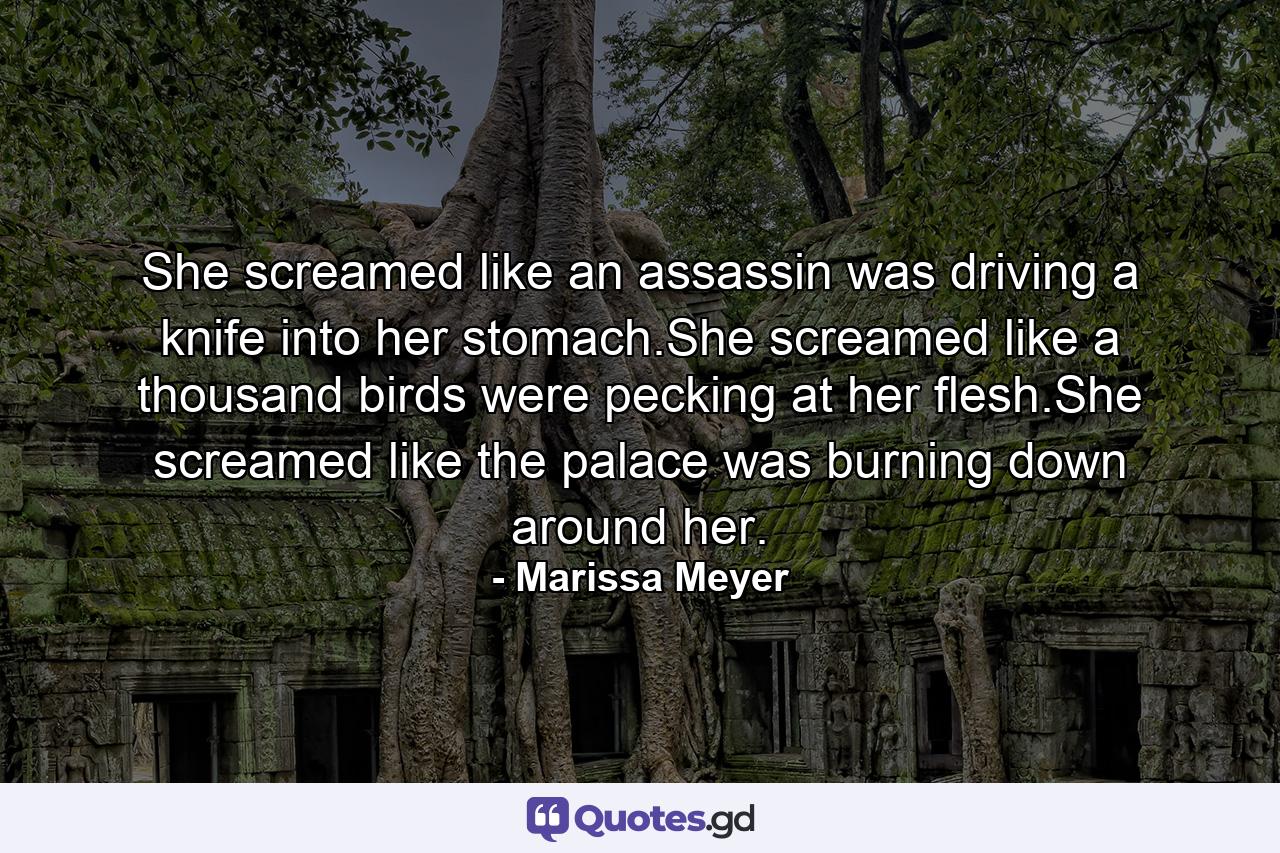 She screamed like an assassin was driving a knife into her stomach.She screamed like a thousand birds were pecking at her flesh.She screamed like the palace was burning down around her. - Quote by Marissa Meyer