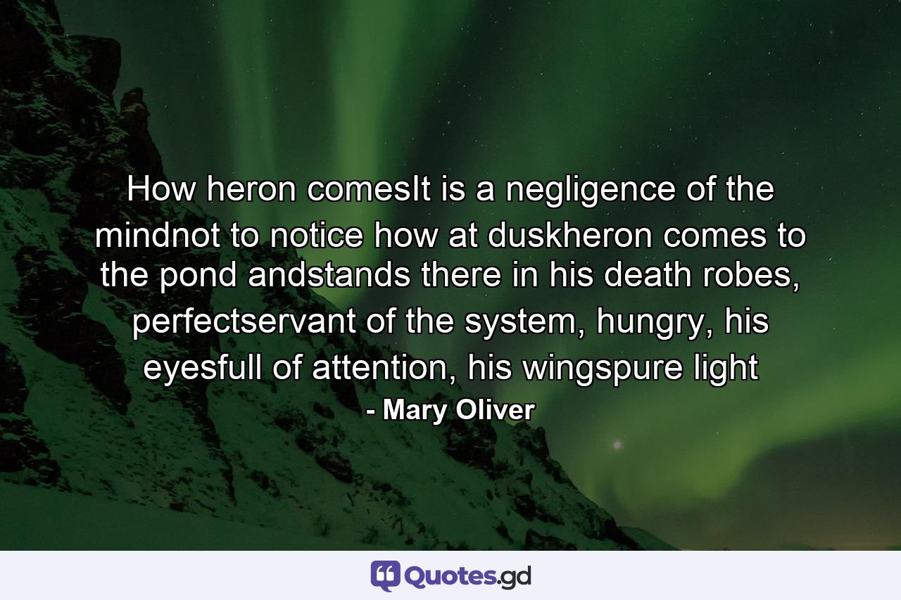 How heron comesIt is a negligence of the mindnot to notice how at duskheron comes to the pond andstands there in his death robes, perfectservant of the system, hungry, his eyesfull of attention, his wingspure light - Quote by Mary Oliver