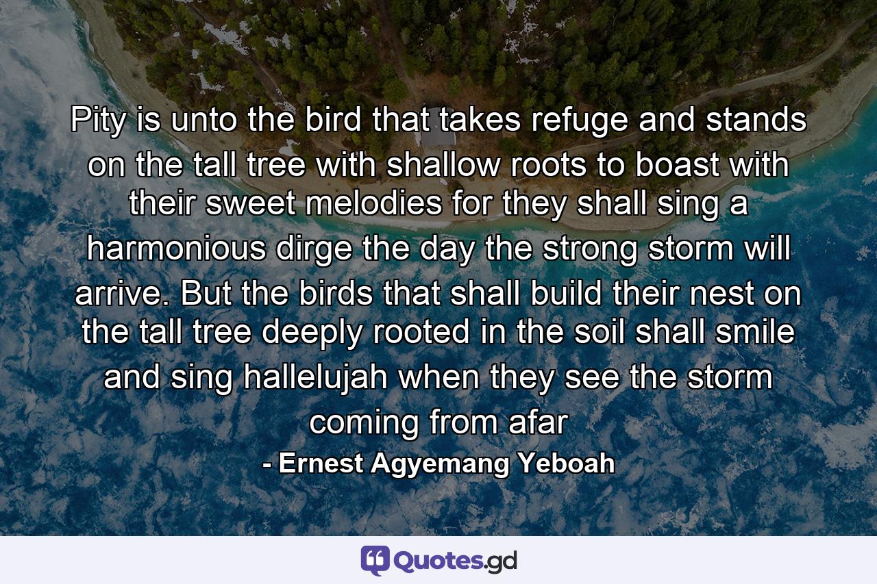 Pity is unto the bird that takes refuge and stands on the tall tree with shallow roots to boast with their sweet melodies for they shall sing a harmonious dirge the day the strong storm will arrive. But the birds that shall build their nest on the tall tree deeply rooted in the soil shall smile and sing hallelujah when they see the storm coming from afar - Quote by Ernest Agyemang Yeboah
