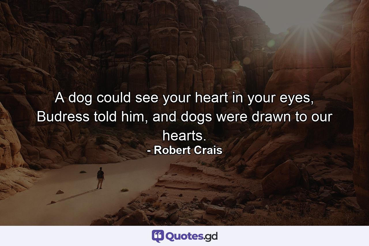 A dog could see your heart in your eyes, Budress told him, and dogs were drawn to our hearts. - Quote by Robert Crais