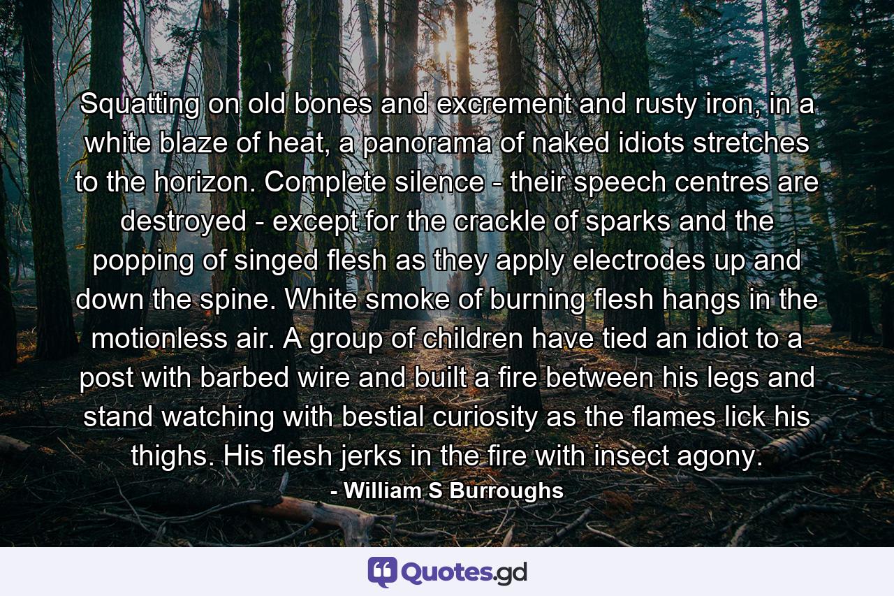 Squatting on old bones and excrement and rusty iron, in a white blaze of heat, a panorama of naked idiots stretches to the horizon. Complete silence - their speech centres are destroyed - except for the crackle of sparks and the popping of singed flesh as they apply electrodes up and down the spine. White smoke of burning flesh hangs in the motionless air. A group of children have tied an idiot to a post with barbed wire and built a fire between his legs and stand watching with bestial curiosity as the flames lick his thighs. His flesh jerks in the fire with insect agony. - Quote by William S Burroughs